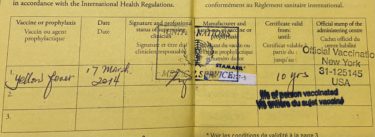 ボディガードとイエローカード